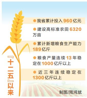 河南省大力打造全国重要的粮食生产核心区,到2025年全省将建成八千万亩高标准农田 社会关注 河南省人民政府门户网站